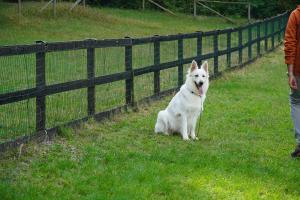 White Kingdom of Bacco Fairy Tale di Tania Cerrato